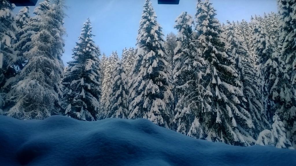 Baita Velon Vermiglio Exteriér fotografie
